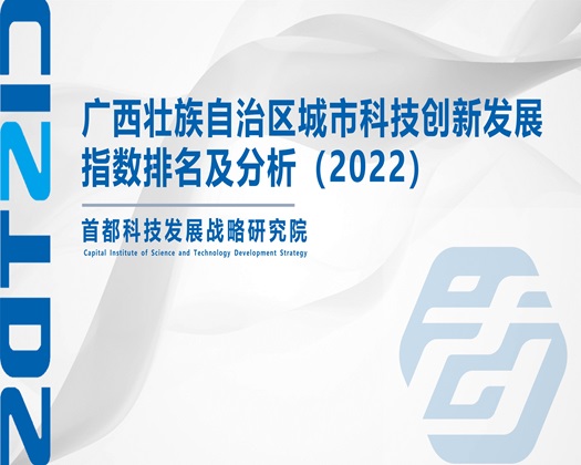 欧美肥胖老妇BBW操逼逼BB【成果发布】广西壮族自治区城市科技创新发展指数排名及分析（2022）